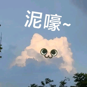 阿木木.头像