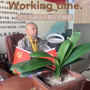 点击智盟菜谱公司李平头像