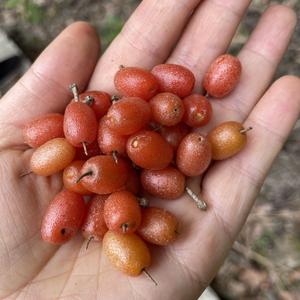 嵊州市双和土菜馆头像