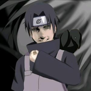 孤月（世一鼬）头像