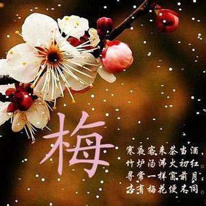 梅凝细语头像