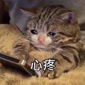 毛毛冲撞头像