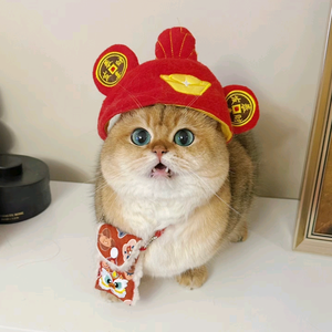 _@71头像