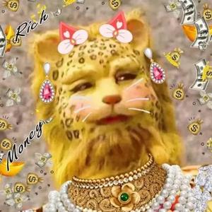 我是辉娃子头像
