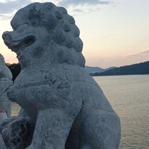胖胖哥百货头像
