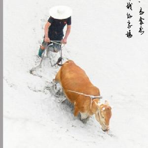 黔东南州老年摄影学会头像