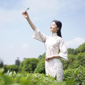 大明白茶头像