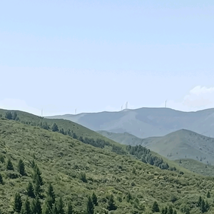 静山乐水头像