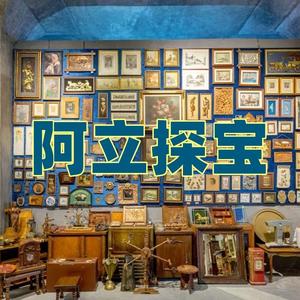 阿立探宝头像