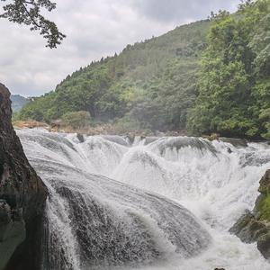 土豆就是土豆头像