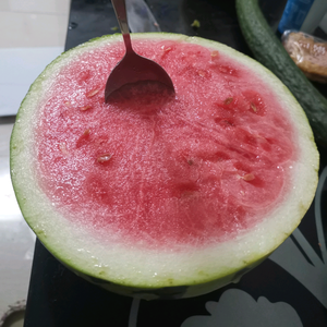 居之家好物头像