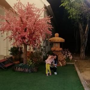诗诗妈咪生活曰记头像