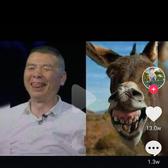 俗不可耐小小莫头像