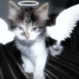 98岁炼狱小镇拄拐打狙头像