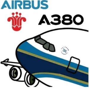 一架A380南方波音737头像