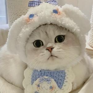 柒柒来解说头像