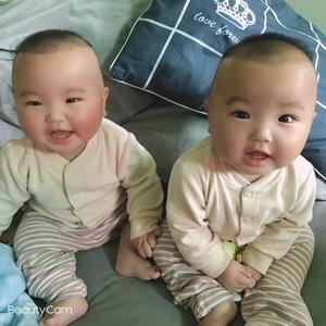 三只萌娃在此头像