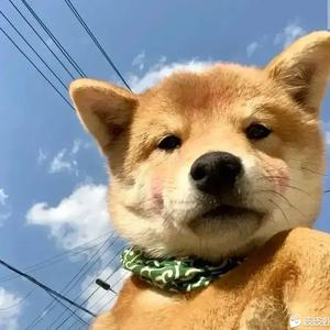 实习监理员小王头像