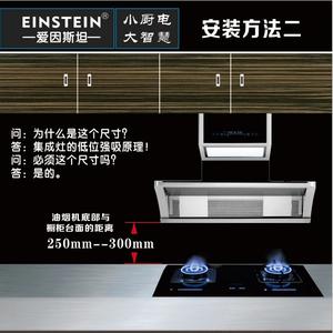 爱因斯坦电器头像