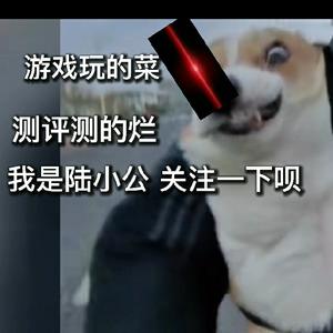 陆小公游戏解说头像