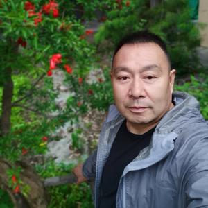 手机用户人生如茶静心头像