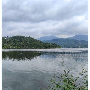 大礼7160头像