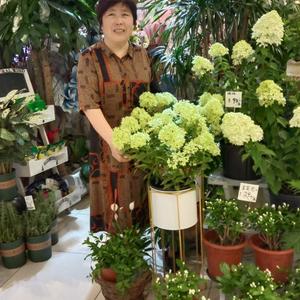 简单的奶奶聊情感头像