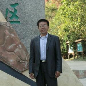 图图音乐头像