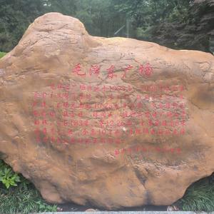 321GO头像