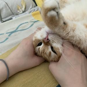 丶丶保持微笑头像