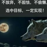 呆萌的悟空头像