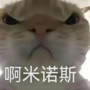 猫猫大军头像