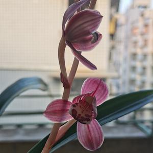 身边正能量您我来传递头像
