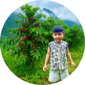 尼泊尔咖啡小王子头像