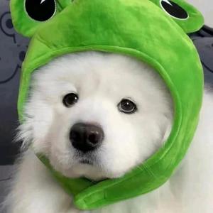 叫我阿祐头像