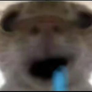 桃子解说和平精英头像