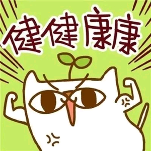 Z·烟火头像