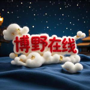 博野在线网络公司头像
