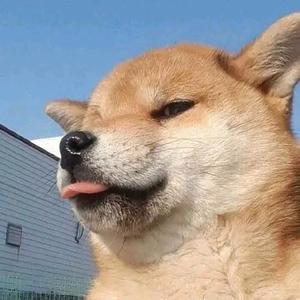 SKy小秘头像