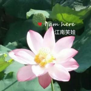 江南笑娃头像