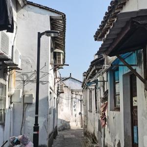 AI戒了烟我不习惯头像