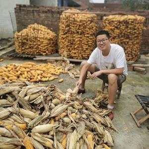 合肥大强地产头像
