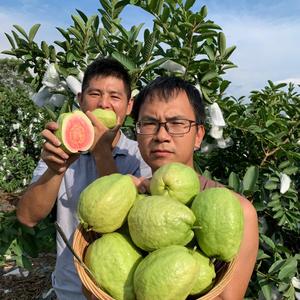 农家鲜生小荷夫头像