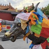樵夫的大金圆头像