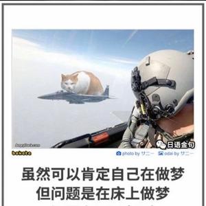 三牛饼干头像