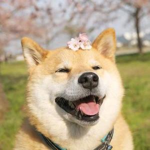 小田eom了头像