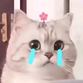 番茄1407794675455358头像