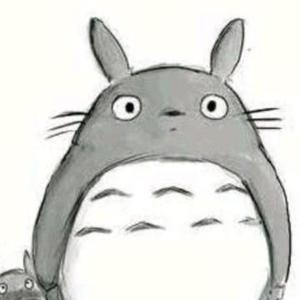 我的世界龙猫头像