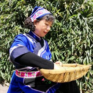 官渡老奶头像
