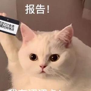 月亮皮卡头像